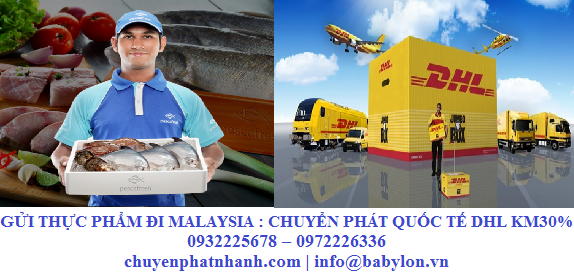 Gửi thực phẩm đi Malaysia: | Chuyển phát quốc tế DHL khuyến mại 30%